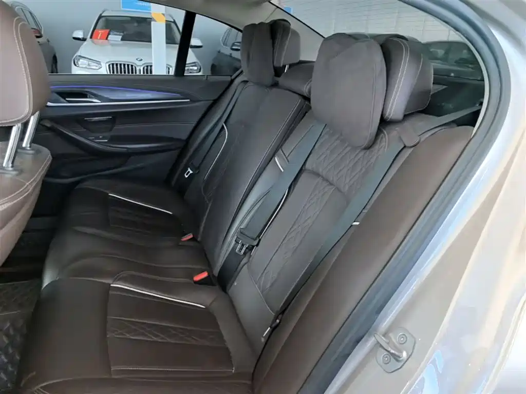 BMW 5 Series 2020 530Li Leading Luxury Package фото 17