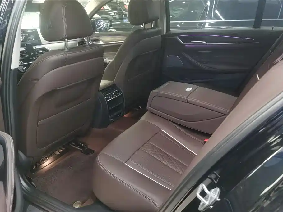 BMW 5 Series 2022 530Li xDrive Luxury Package фото 11