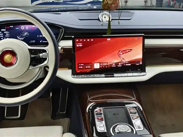 Hongqi Guoya 2024 4.0T V8 Version фото 8