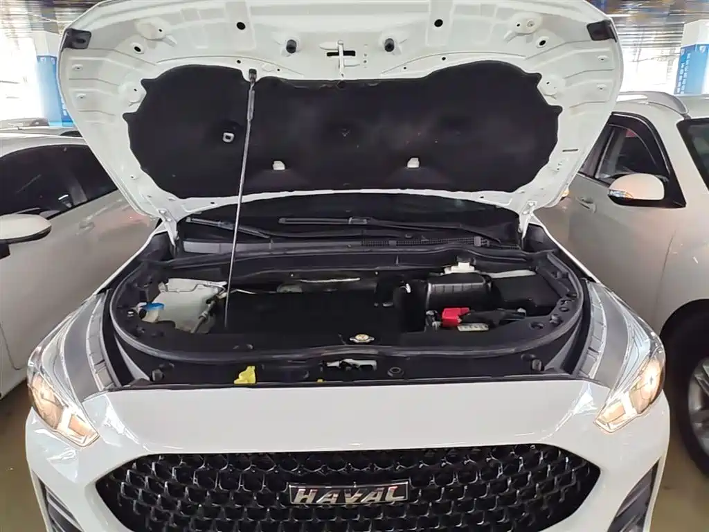 Haval M6 2019 1.5T DCT 2WD Elite Type China VI фото 20