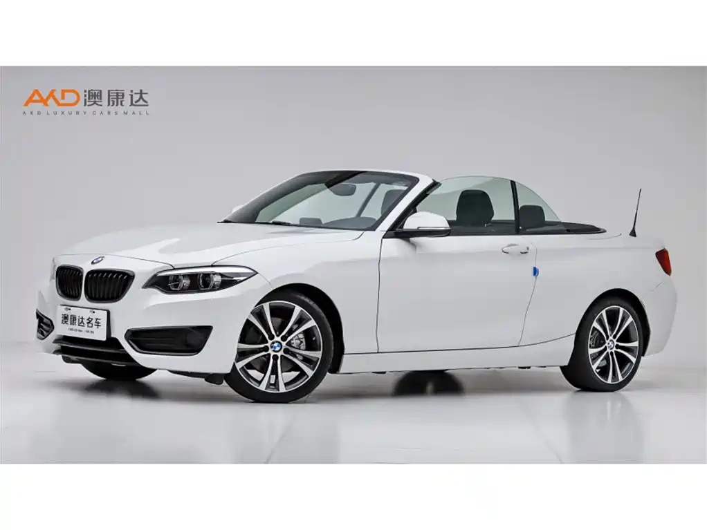 BMW 2 Series (Import) 2019 225i Convertible Coupe Sport Design Package