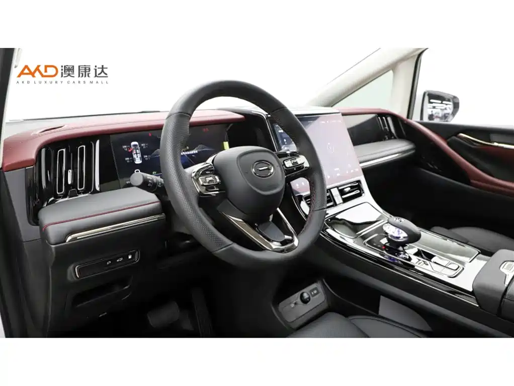 GAC Trumpchi Trumpchi E9 2023 E9 MAX фото 6