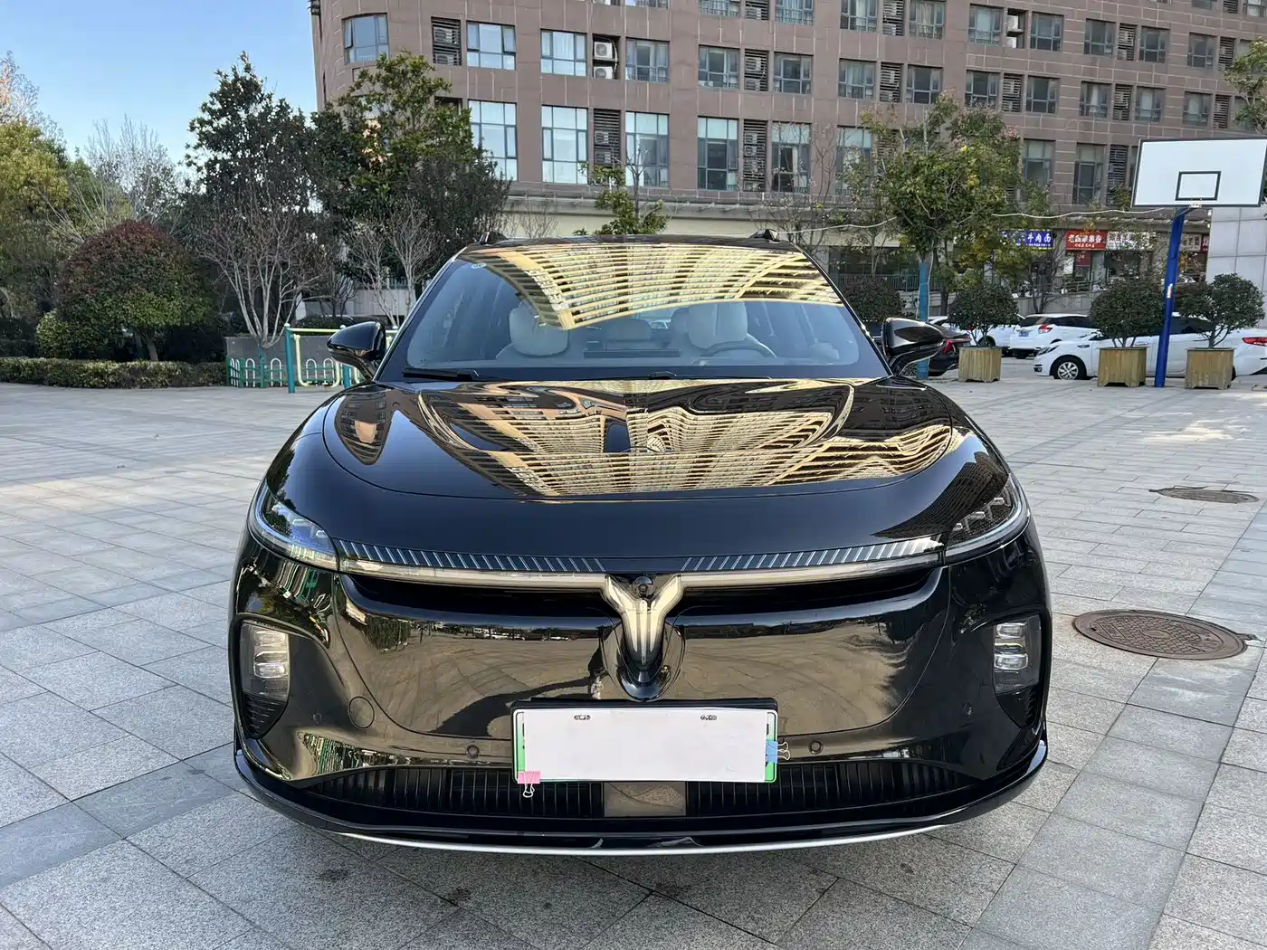 Voyah Auto Voyah Zhiyin 2024 Long Range Smart Edition фото 2