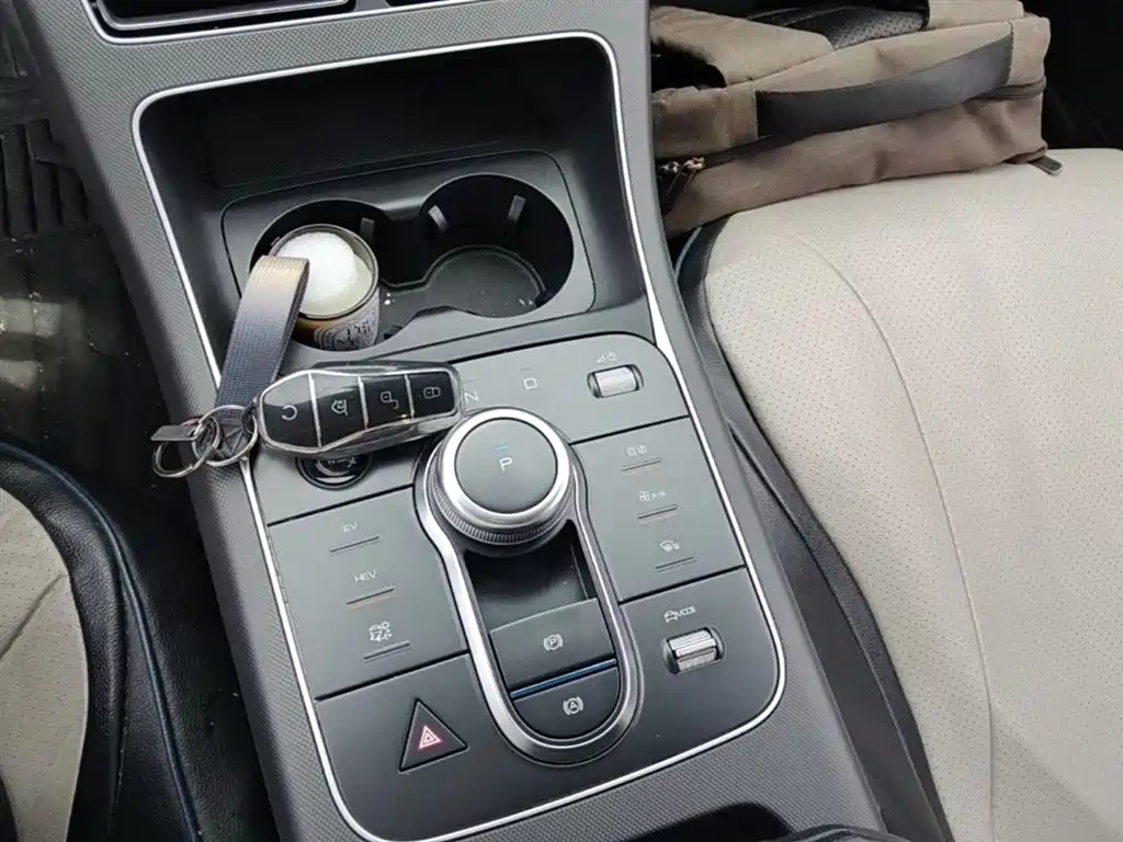 BYD Destroyer 05 2024 Glory Edition DM-i 55KM Luxury фото 14