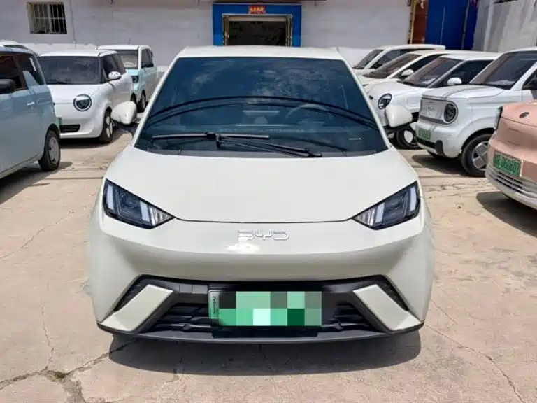 BYD Seagull 2024 Glory Edition 305km Vitality Edition фото 2