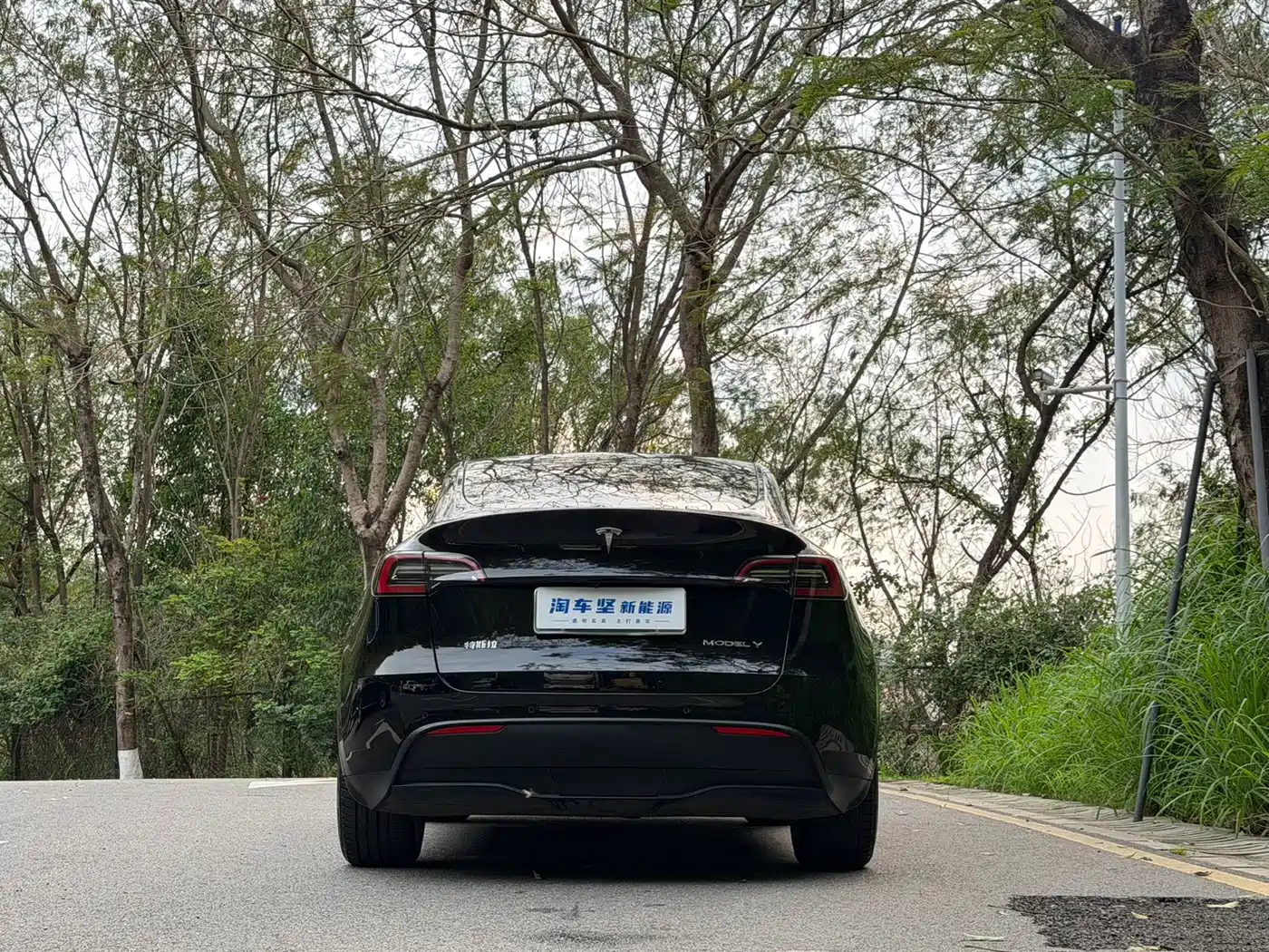TESLA MODEL Y