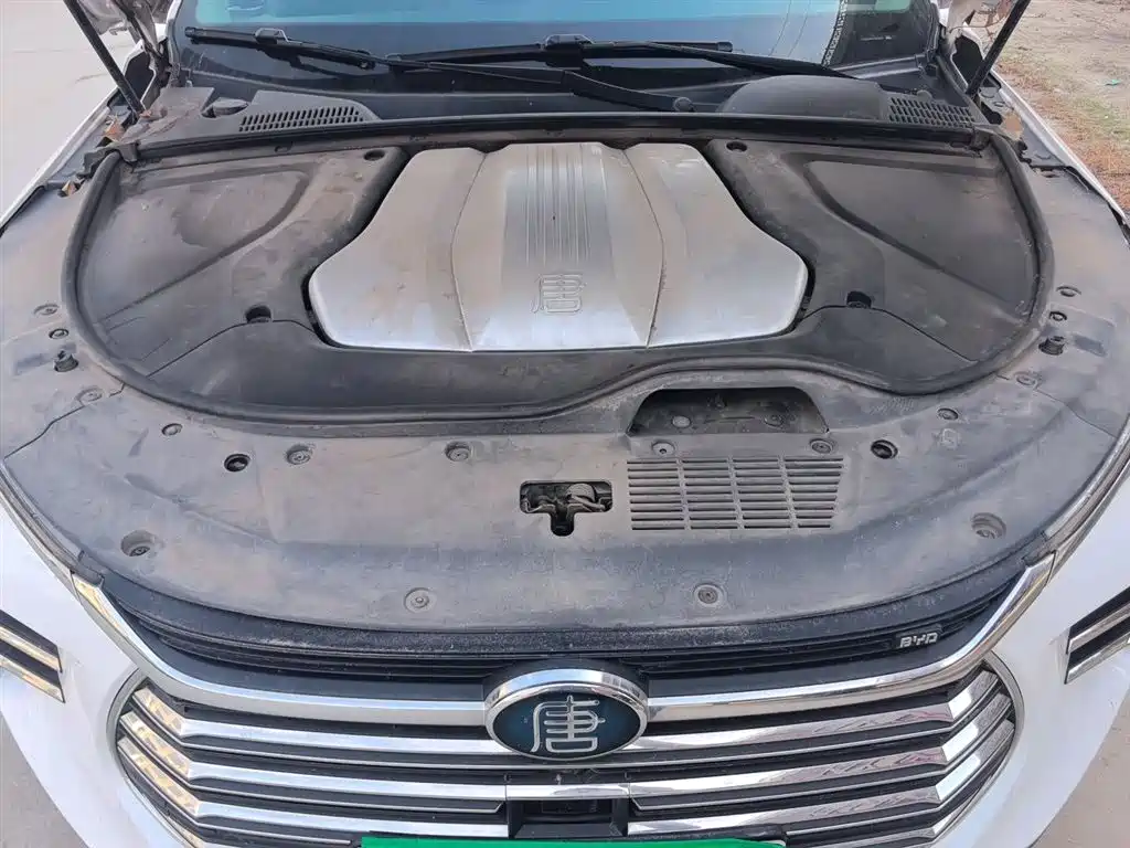 BYD Tang New Energy 2019 DM 2.0T AWD Intelligent Genesis Edition 7-seater China VI фото 17