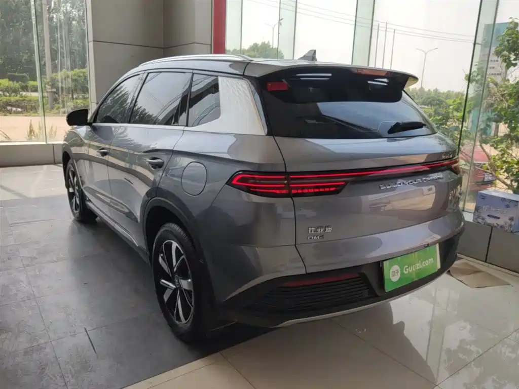 BYD Song Pro New Energy 2024 Glory Edition DM-i 71KM Pilot фото 5
