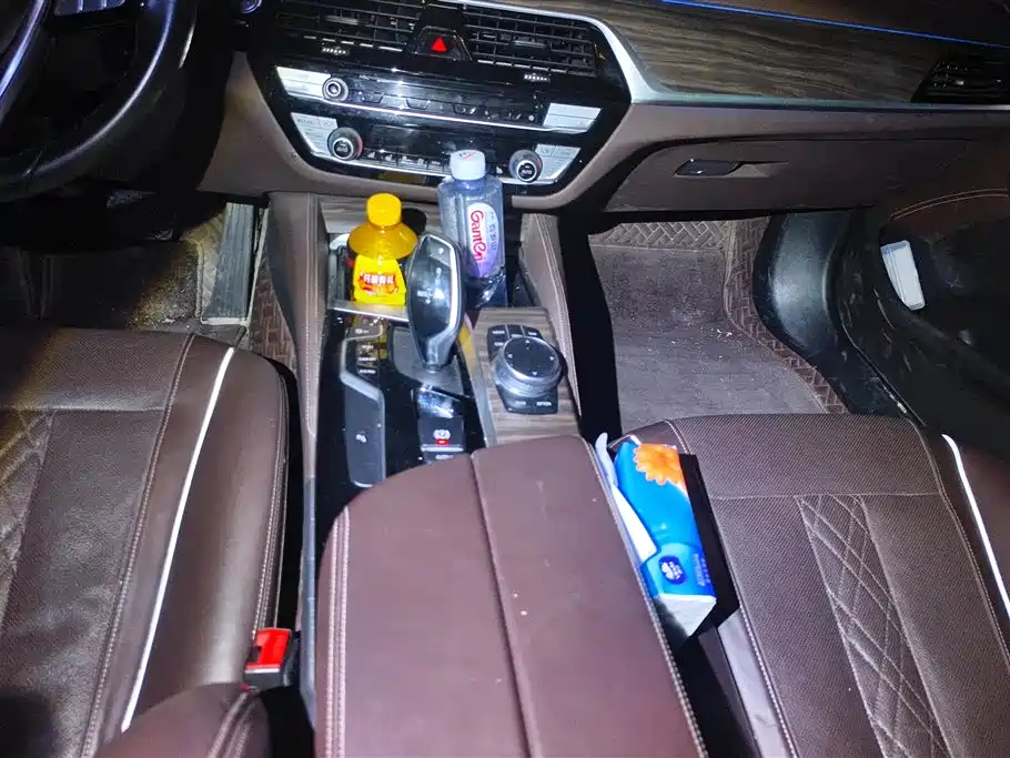 BMW 5 Series 2020 530Li Leading M Sport Package фото 16
