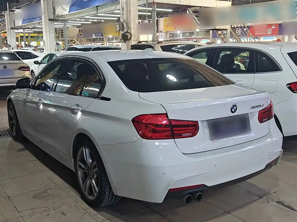 BMW 3 Series 2019 320Li M Sport Package фото 5