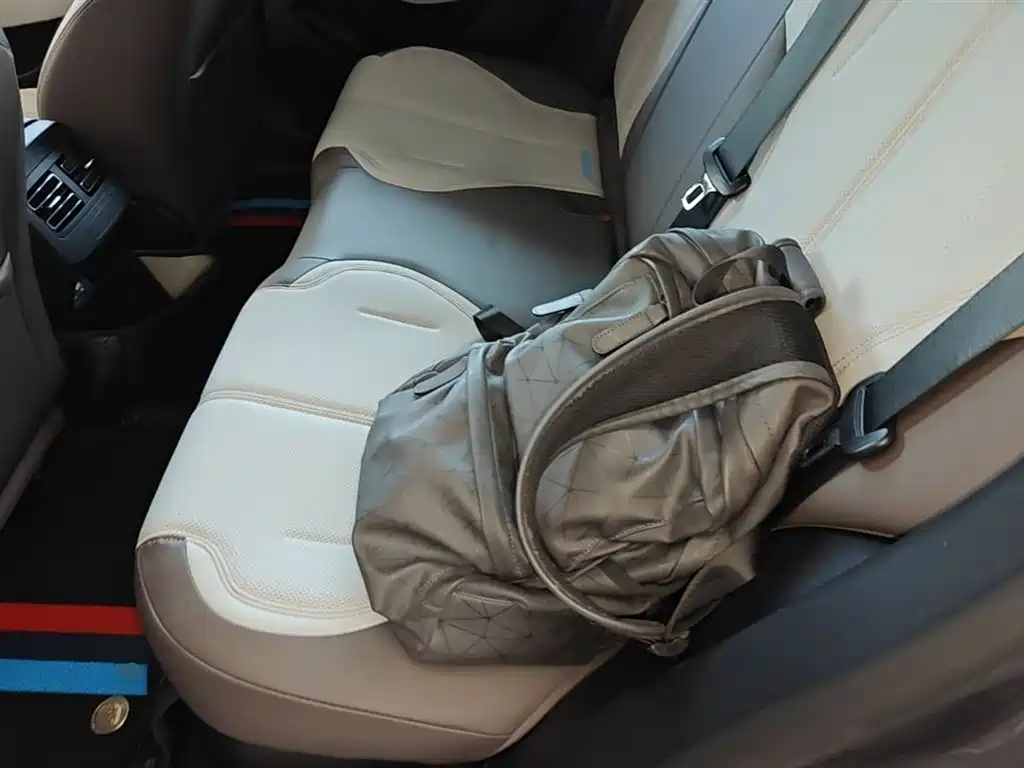 BYD Qin PLUS 2021 DM-i 55KM Premium фото 17
