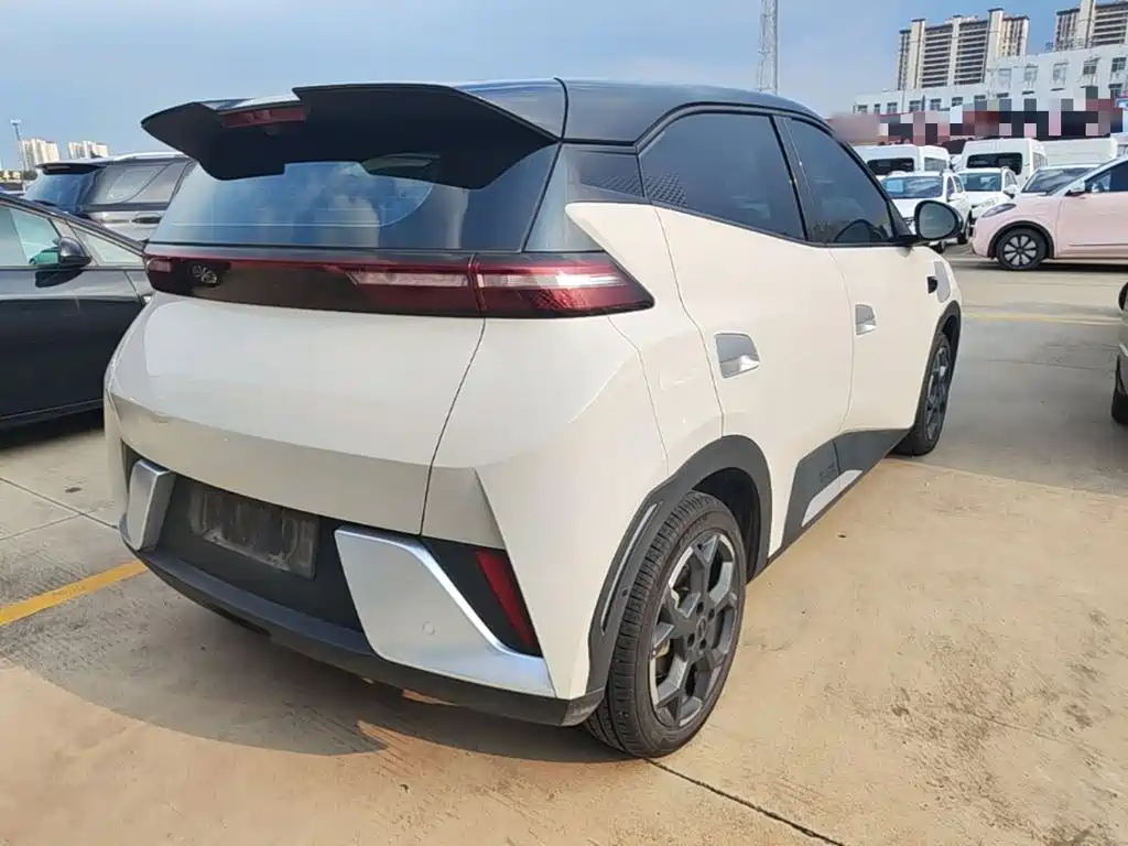 BYD Seagull 2026 2025 Smart Drive Edition 305km Freedom Version
