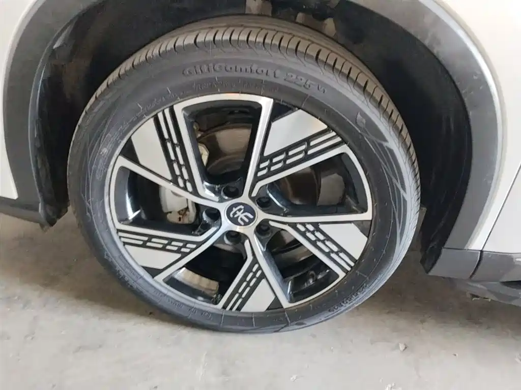 BYD Song Pro New Energy 2023 Champion Edition DM-i 110KM Excellence фото 23