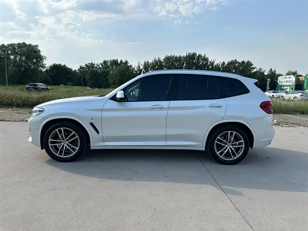 BMW X3 2018 xDrive25i M Sport Package China V фото 7