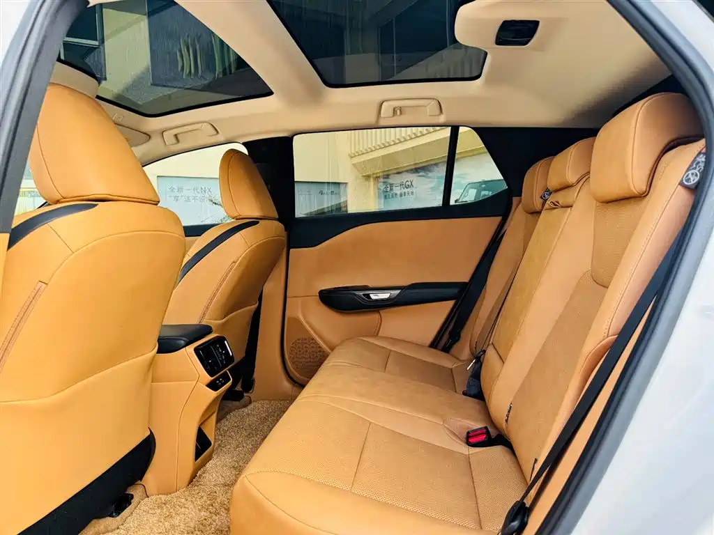 Lexus RZ 2023 450e 4WD Deluxe фото 6