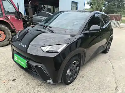 BYD Seagull