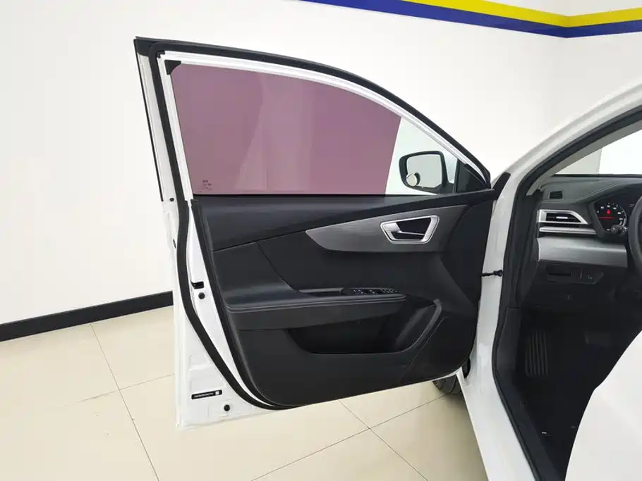 BYD Qin New Energy 2020 2019 Long Range Edition Premium