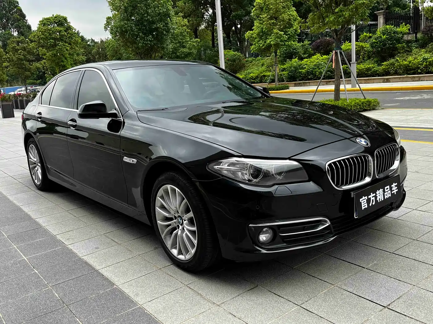BMW 5 Series 2014 525Li Luxury Design Package фото 4