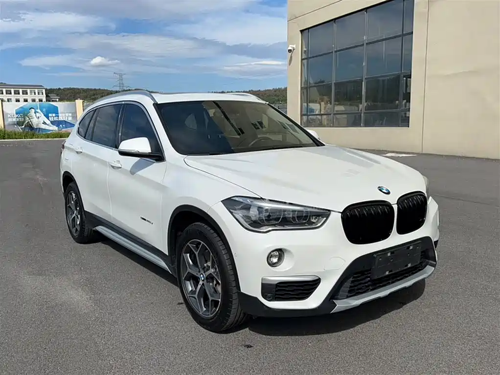 BMW X1 2016 sDrive20Li Luxury Model фото 4