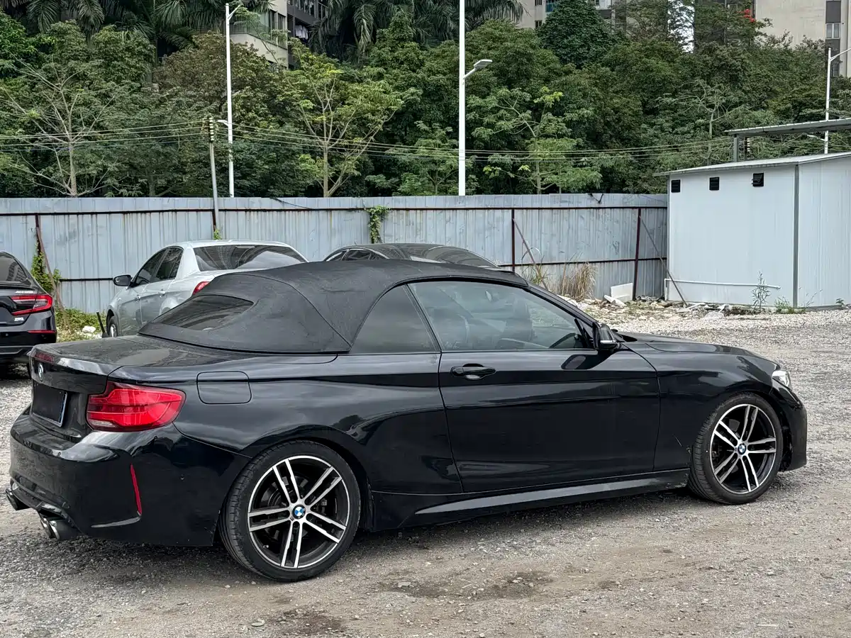 BMW 2 Series (Import) 2019 225i Convertible Coupe Exclusive M Sport Package фото 3