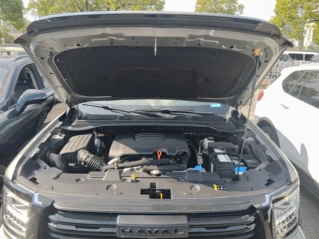 Haval H5 2023 2.0T Automatic AWD Leading Elite Gasoline фото 20