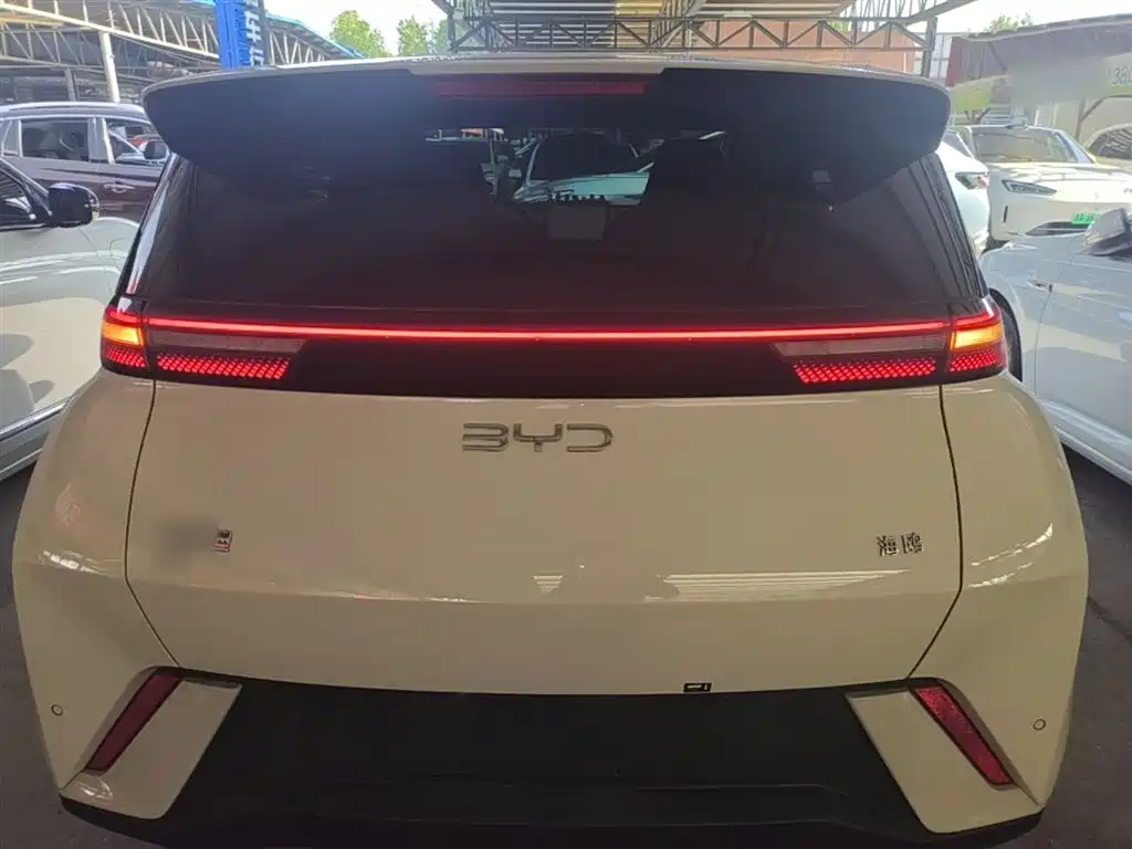 BYD Seagull 2024 Glory Edition 305km Vitality Edition фото 5