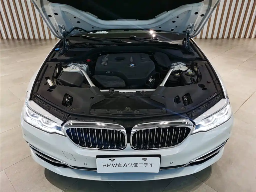 BMW 5 Series 2020 530Li Leading M Sport Package фото 13