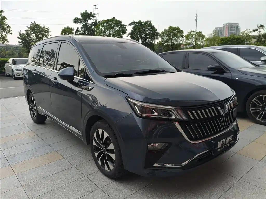 Wuling Motors Wuling Jiachen 2024 2023 Model 2.0L DHT Flagship