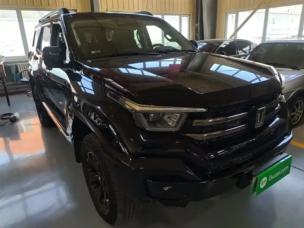 Tank 400 New Energy 2024 Hi4-T Off-Road Edition фото 4
