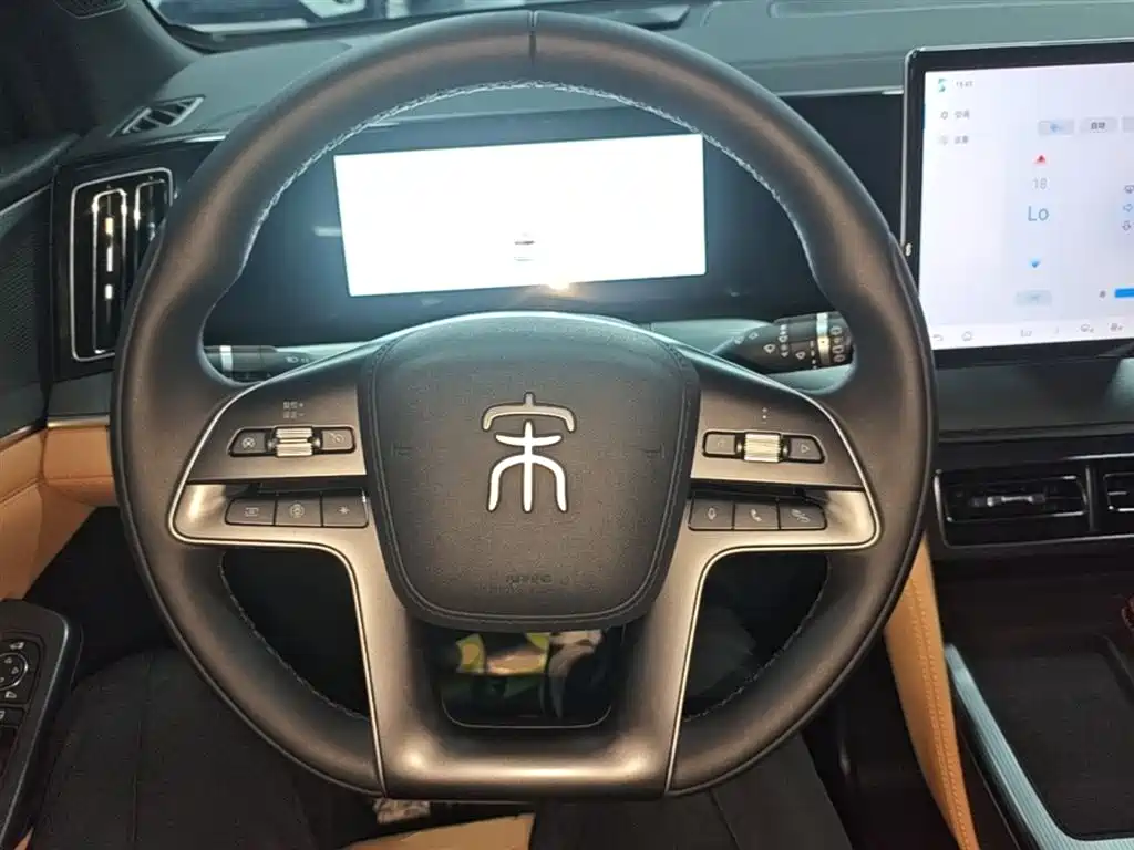 BYD Song L DM-i 2024 112km Leading Edition фото 11