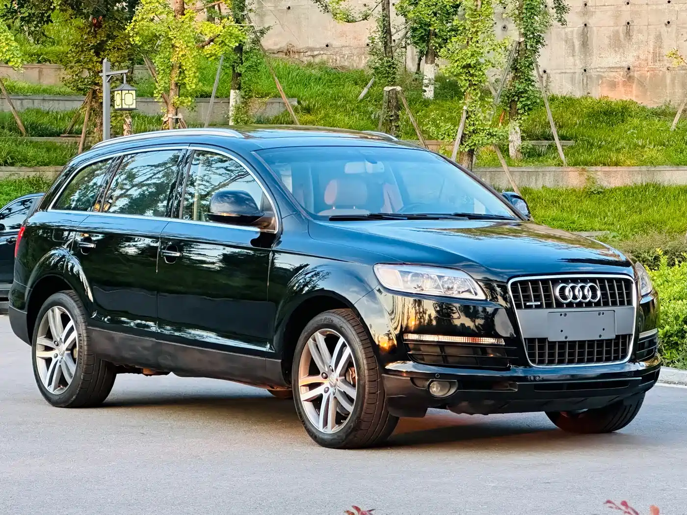 Audi Q7 2007 3.6 FSI quattro Technology фото 11
