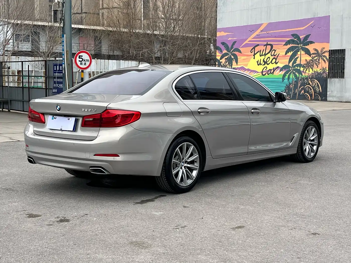 BMW 5 Series 2018 528Li Launch Special Edition фото 6
