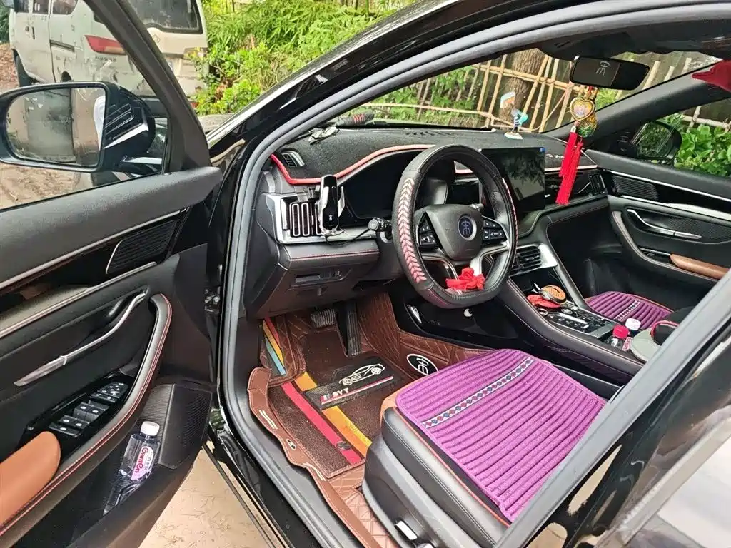 BYD Song PLUS 2020 1.5T Automatic Premium фото 14