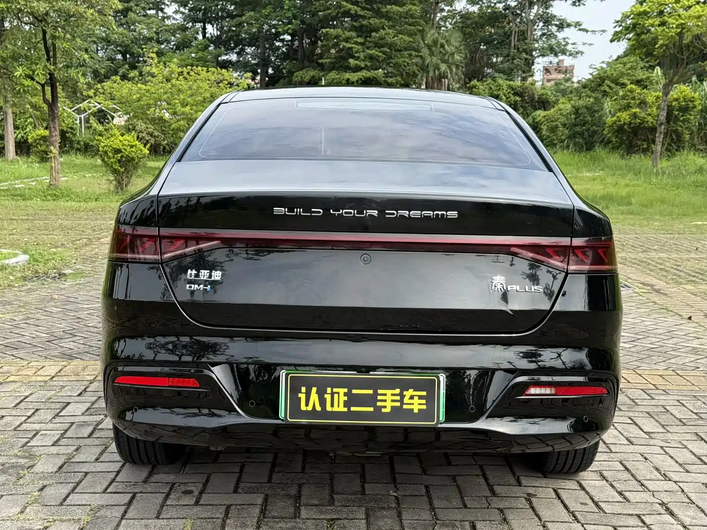 BYD Qin PLUS 2021 DM-i 120KM Flagship фото 6