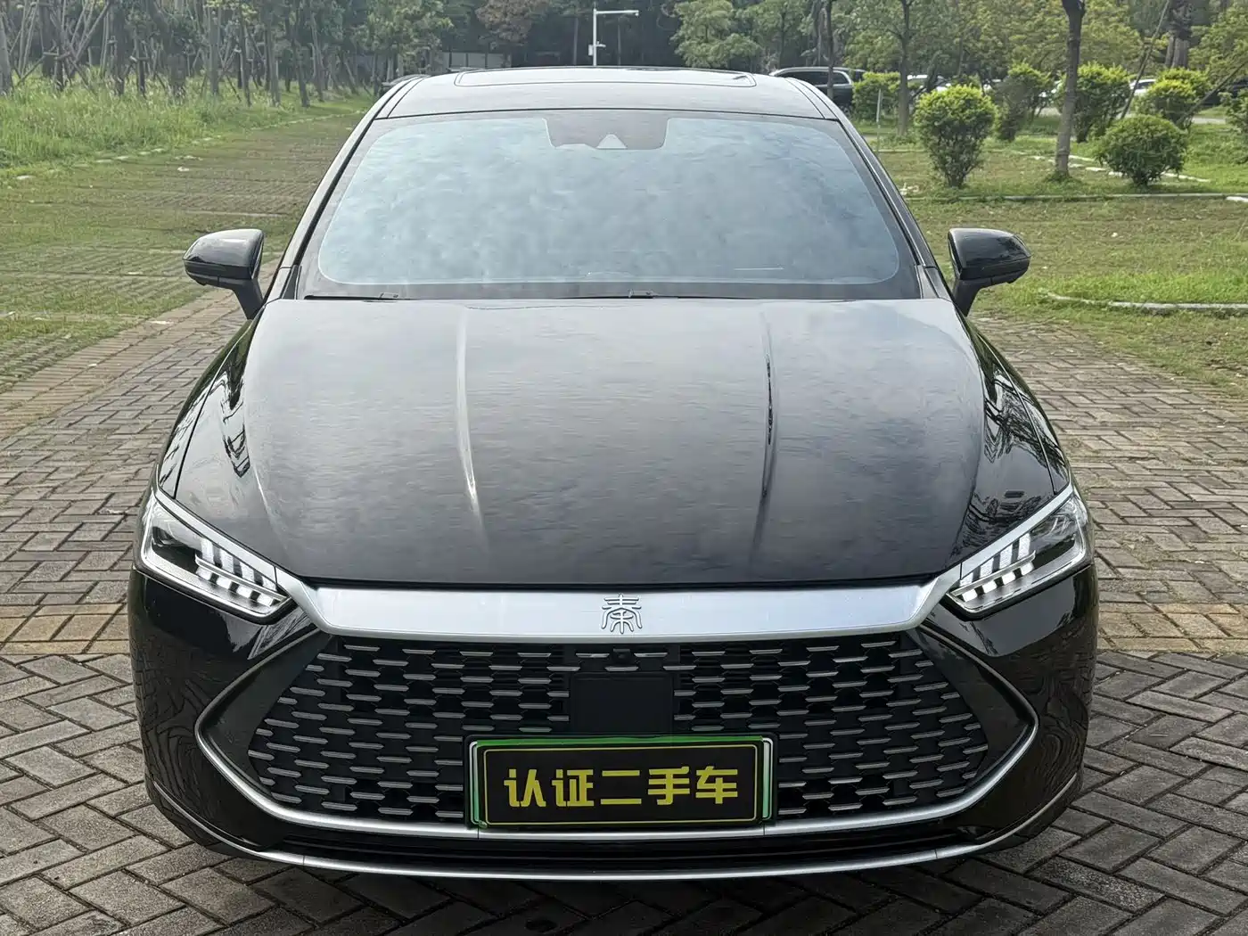 BYD Qin PLUS 2021 DM-i 120KM Flagship фото 2