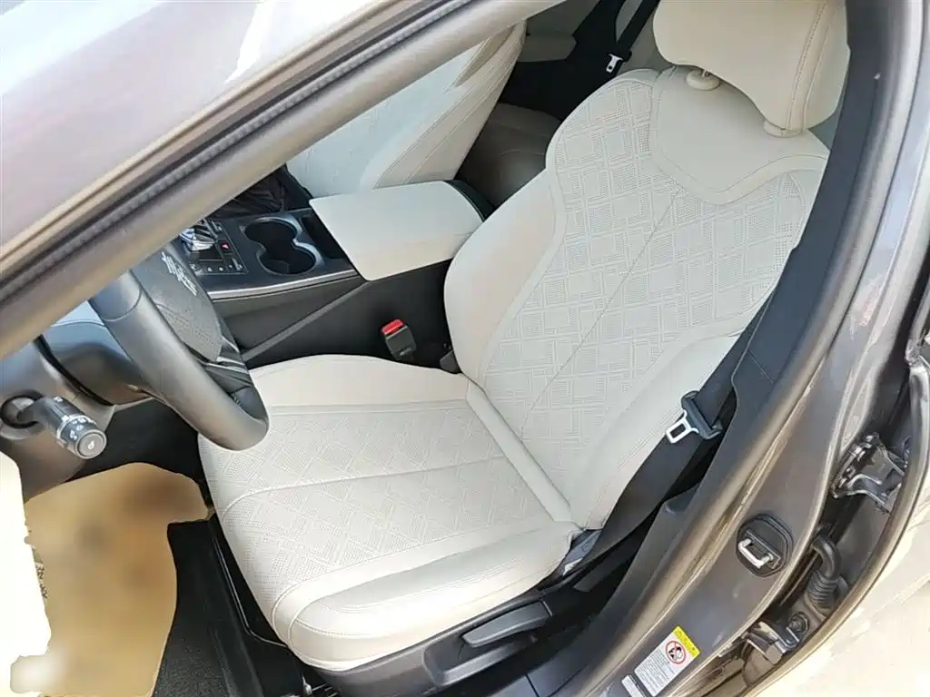 BYD Qin PLUS 2025 DM-i Smart Drive 55KM Leader фото 15