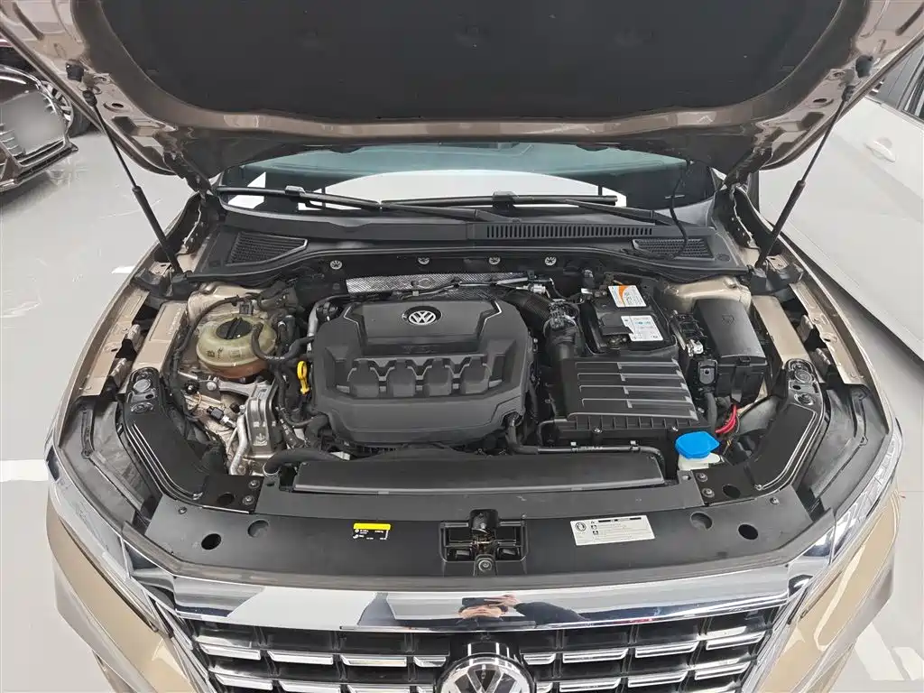 Volkswagen Passat 2019 330TSI Luxury Edition China VI фото 10