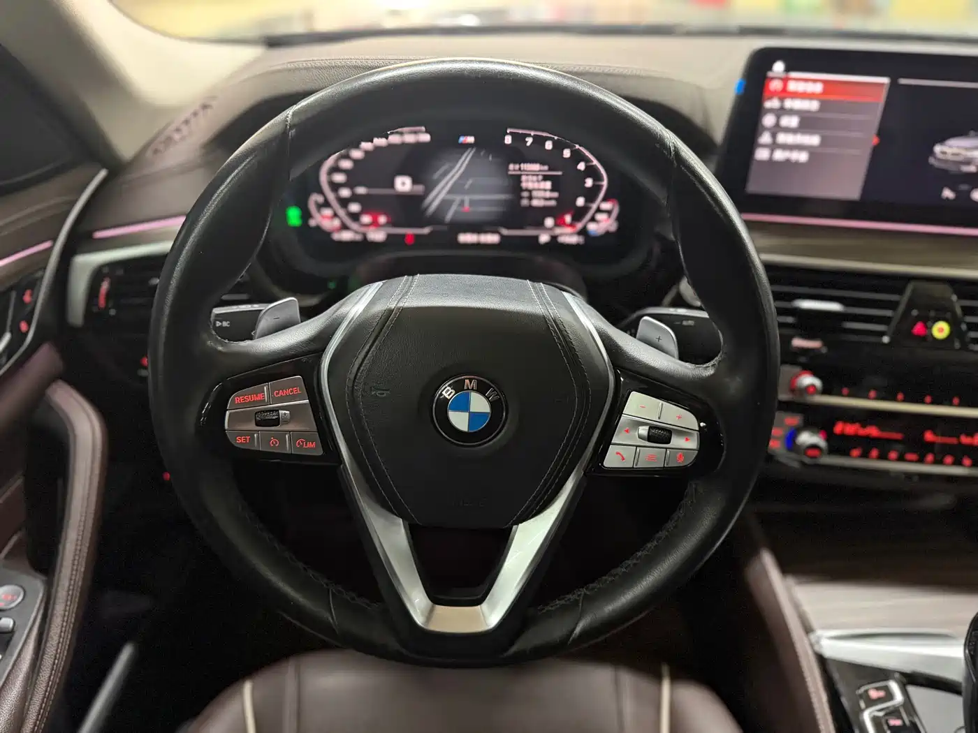 BMW 5 Series 2021 530Li Leading Luxury Package фото 5