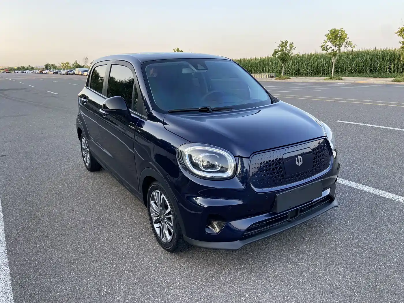 Leapmotor T03 2020 2020 400 Luxury Edition