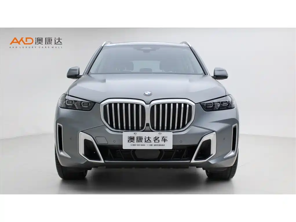 BMW X5 2023 xDrive 30Li Premium M Sport Package фото 2