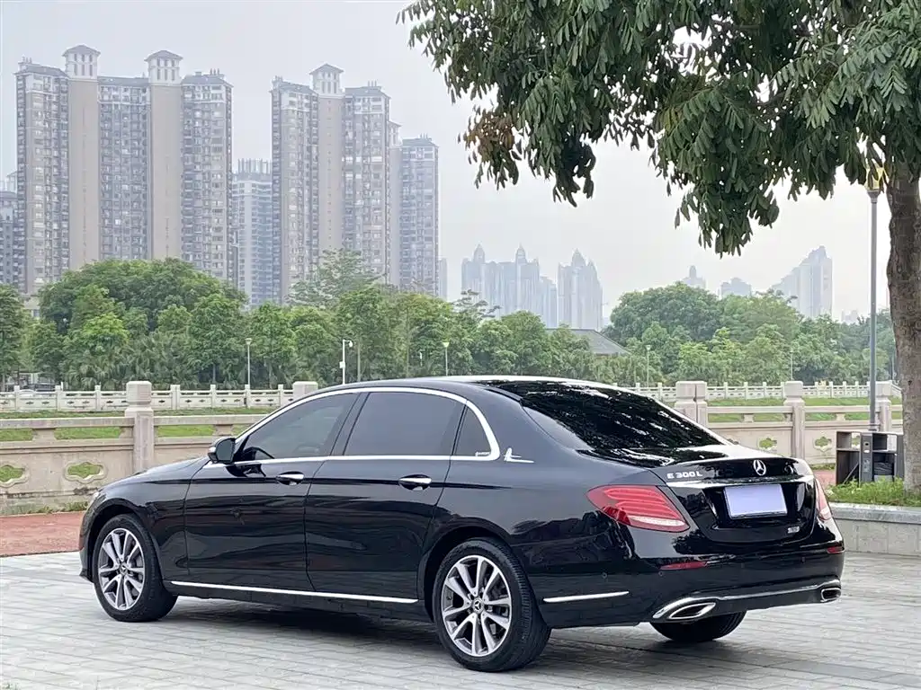 Mercedes-Benz E-Class 2019 Facelift E 300 L Fashion фото 7