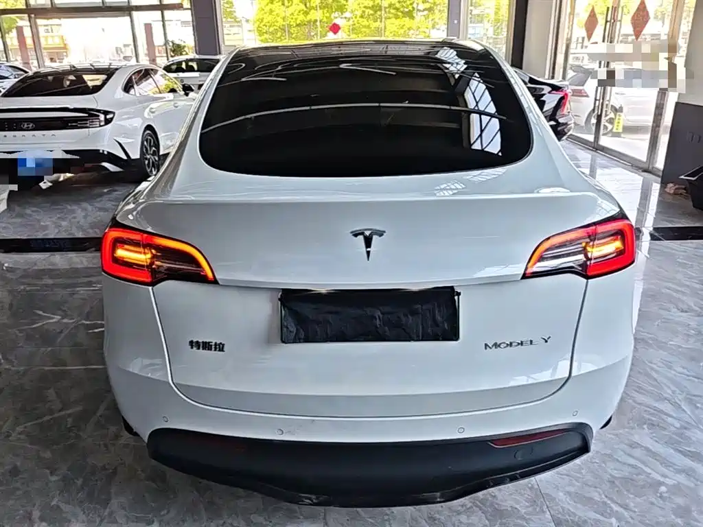 Tesla Model Y 2021 2021 Long Range All-Wheel Drive 3D7