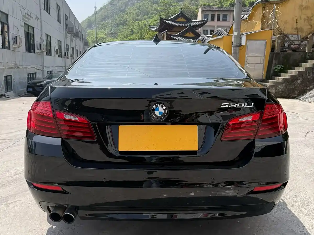 BMW 5 Series 2017 520Li Classic Edition фото 19