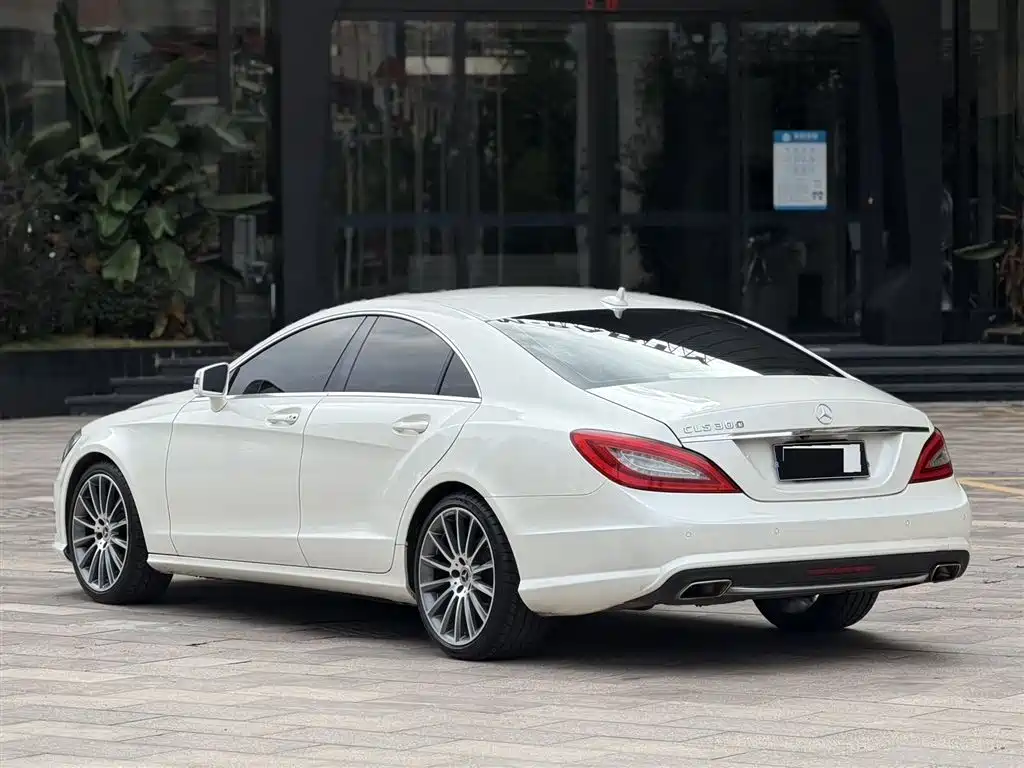 Mercedes-Benz CLS 2012 CLS 300 CGI фото 4