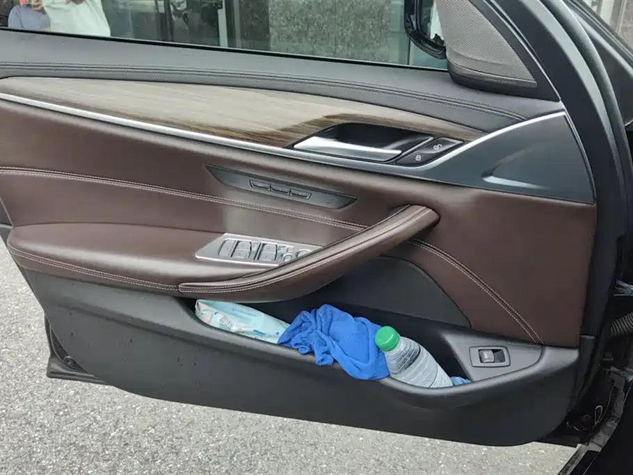 BMW 5 Series 2019 530Li Leading Luxury Package фото 7