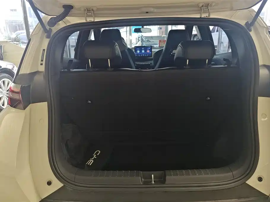 BYD Seagull 2025 305km Freedom фото 4