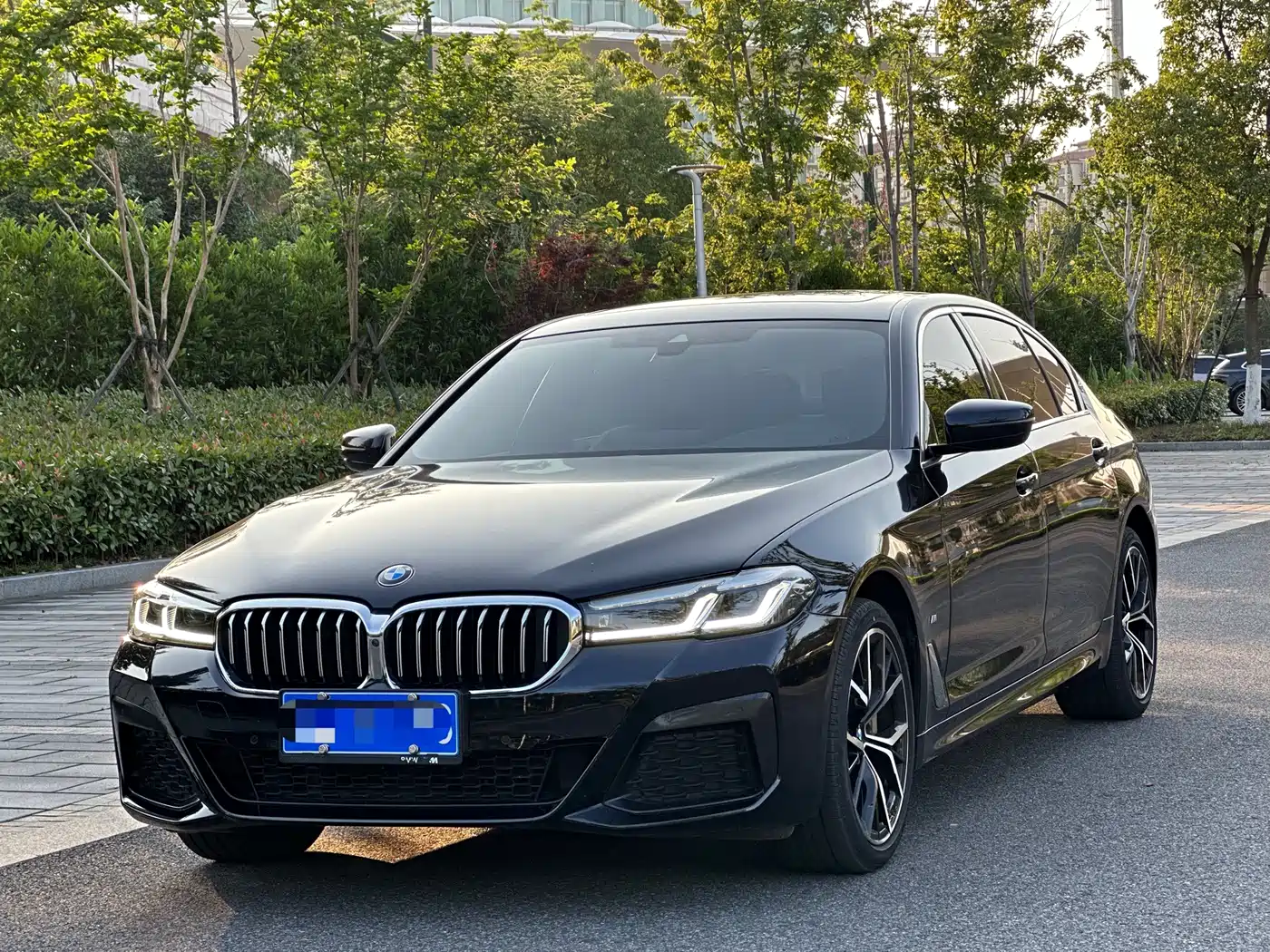 BMW 5 Series 2022 530Li Exclusive M Sport Package