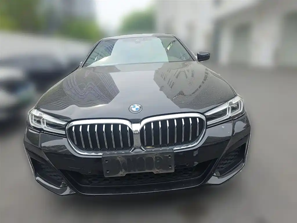 BMW 5 Series 2022 530Li Leading M Sport Package фото 5