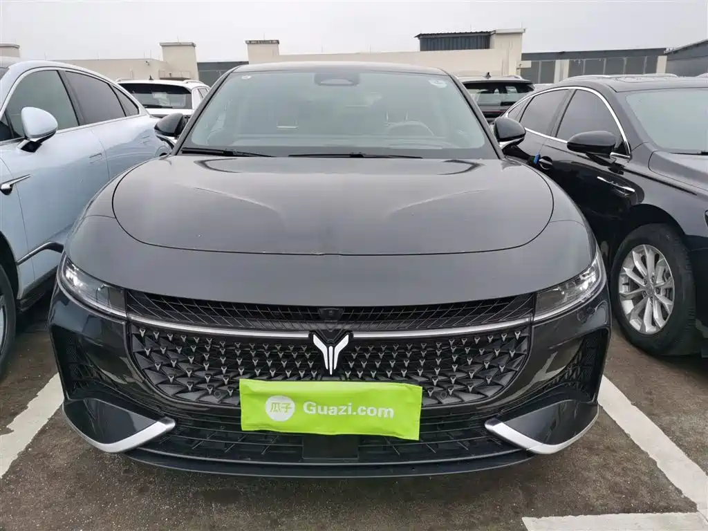 Voyah Auto VOYAH Zhuiguang 2024 PHEV AWD Ultra Long Range Flagship фото 3