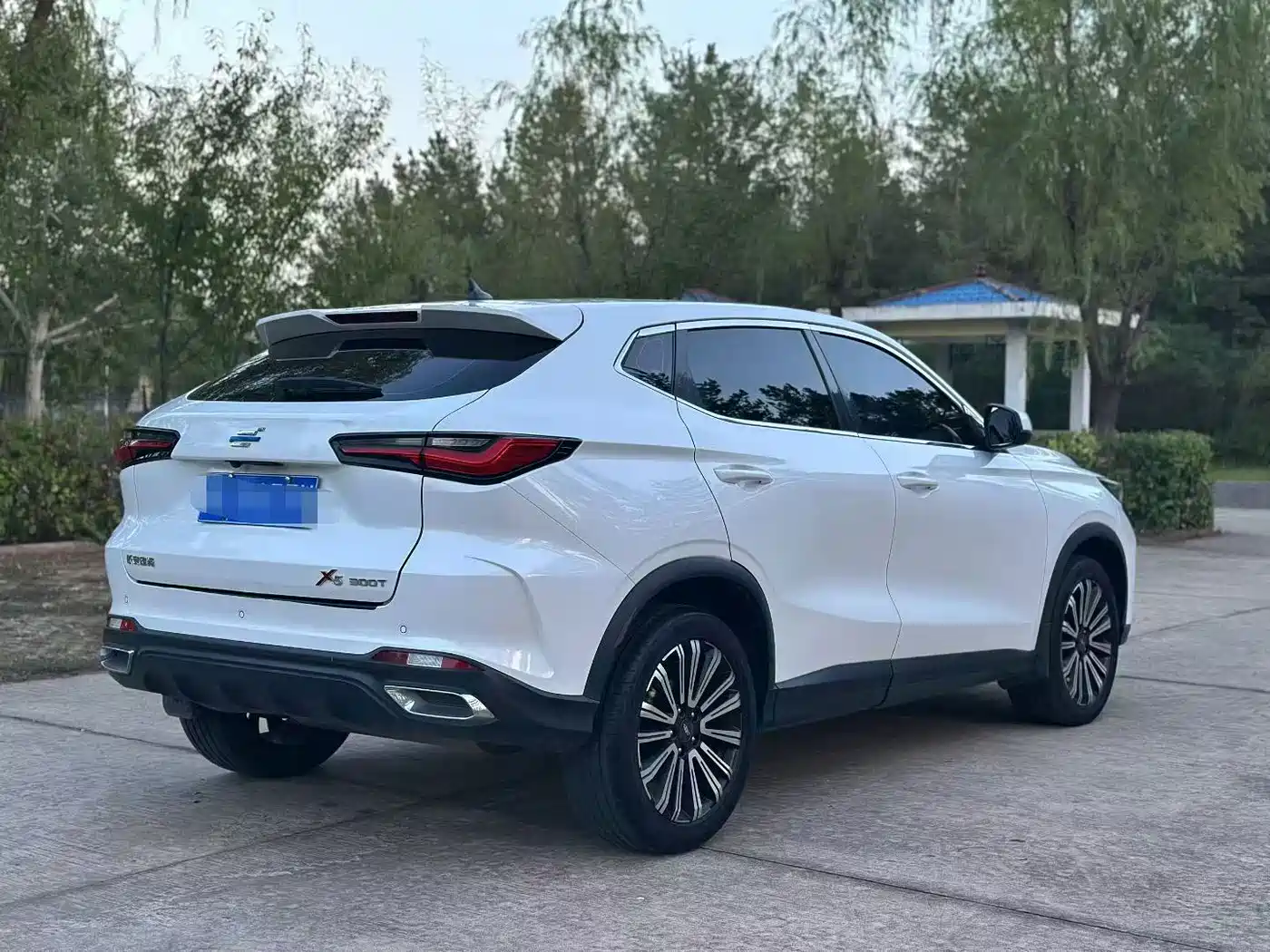 Changan Oshan Changan Oushang X5 2021 2021 1.5T DCT Premium